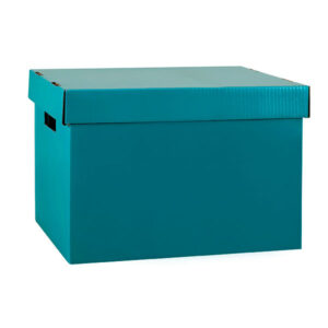 Marbig Archive Box Teal Box 10
