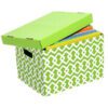 Marbig Archive Box Lime Pattern Box 10