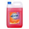 Northfork Foaming Hand Wash Orange Antib 5L
