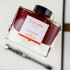 Pilot Iroshiku Ink Bottle 50ml Winter Persimmon (Fuyugaki) 600218