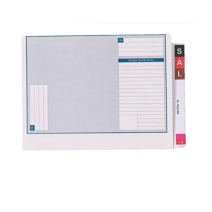 Avery Lateral Notes Standard File 46710